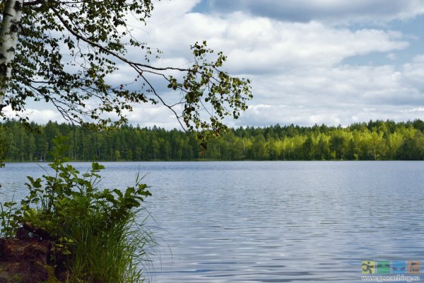 Серебряное озеро Псковская область