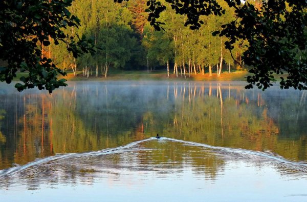 Озеро Кичиер Марий Эл