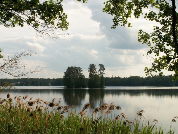 Озеро Таир Йошкар-Ола