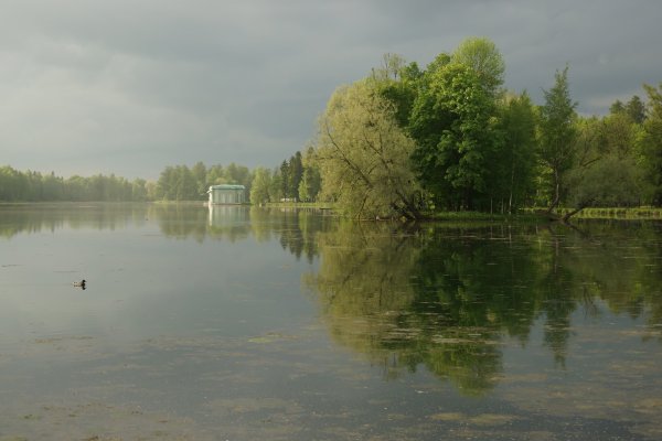 Белое озеро Гатчина