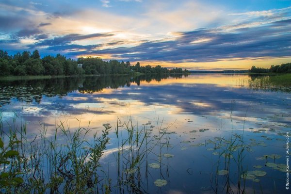 Озеро Боровно Окуловский район