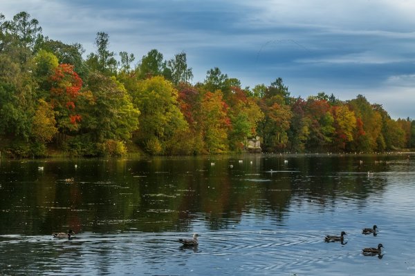 Оз белое Гатчина