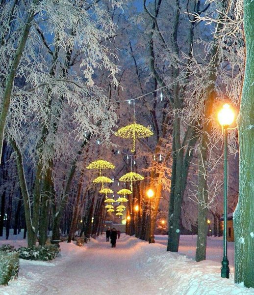 Зимний парк