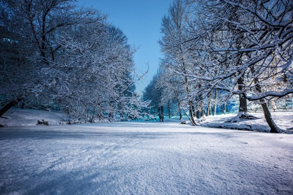 Горпарк Саратов зимой