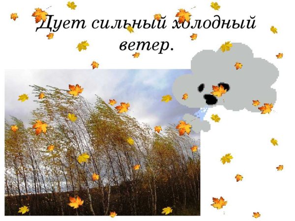 Дует холодный ветер осень
