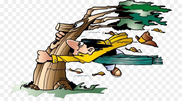 Сильный ветер юмор