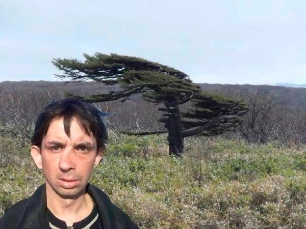 Сильный ветер нос Кривой