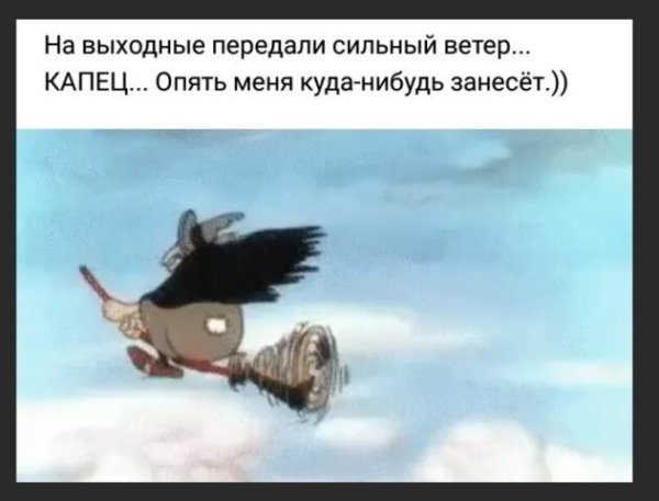 Смешные высказывания про сильный ветер
