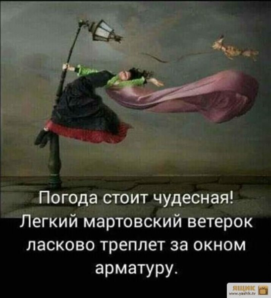 Легкий ветерок треплет за окном арматуру