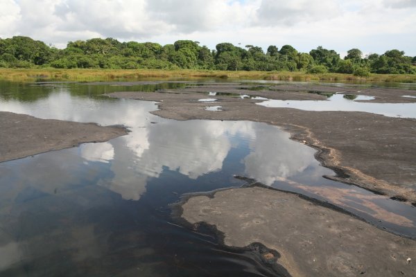 Пич-Лейк асфальтовое озеро