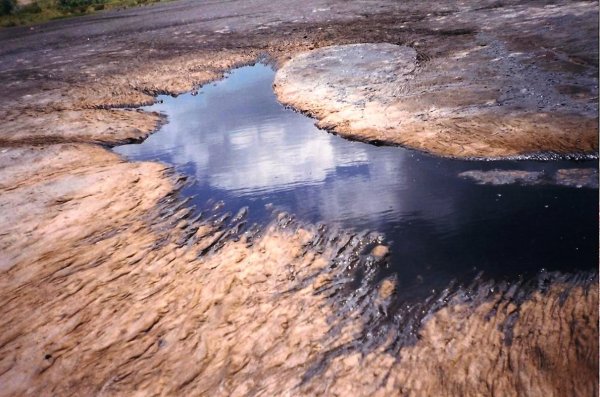 Озеро Пич-Лейк Тринидад