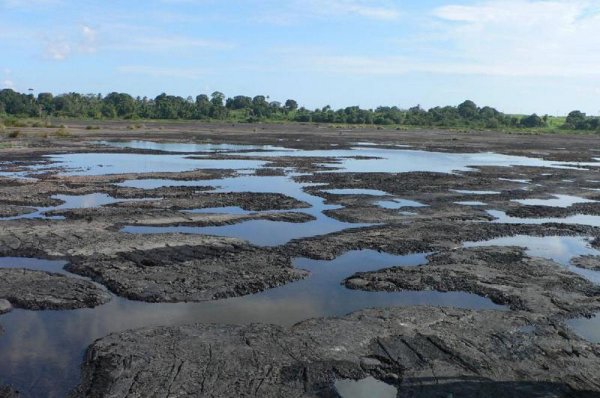 Озеро Пич-Лейк Тринидад
