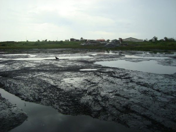 Пич-Лейк асфальтовое озеро