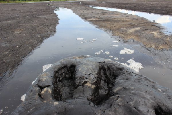 Озеро Пич-Лейк Тринидад