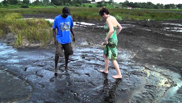 Асфальтовое озеро (озеро Пич – Лейк)