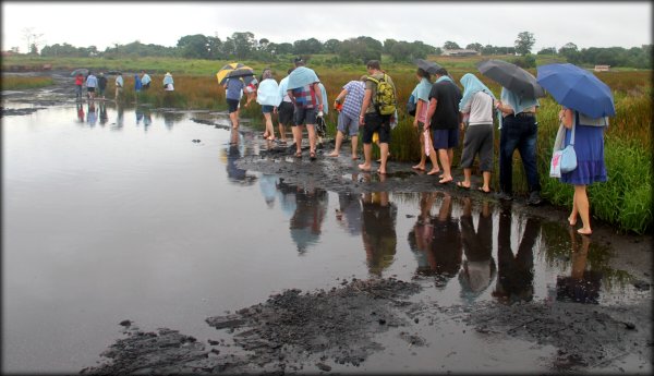 Асфальтовое озеро