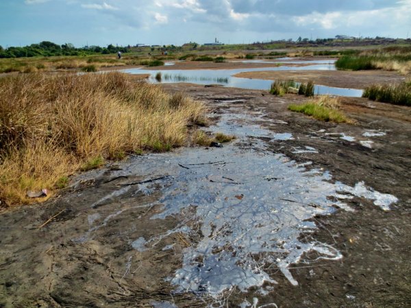 Асфальтовое озеро в Тринидаде