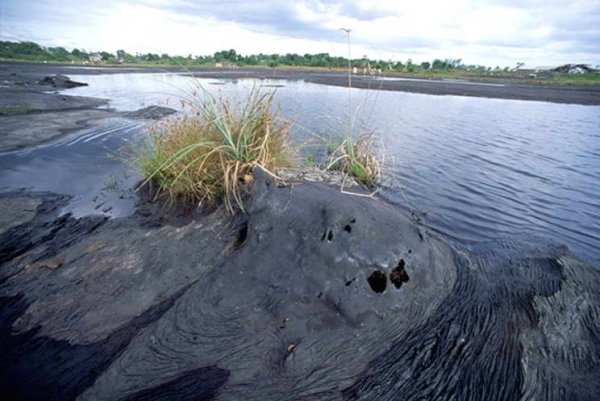 Озеро Пич-Лейк Тринидад