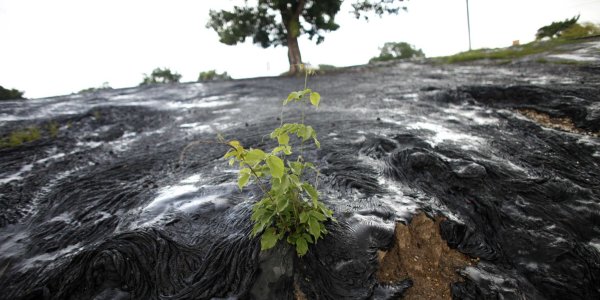Пич-Лейк асфальтовое озеро