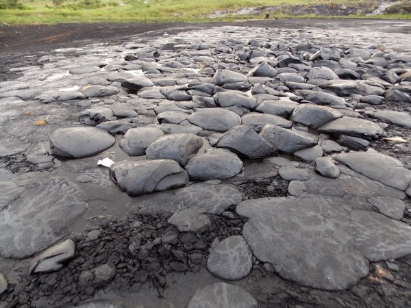 Остров Тринидад асфальтовое озеро