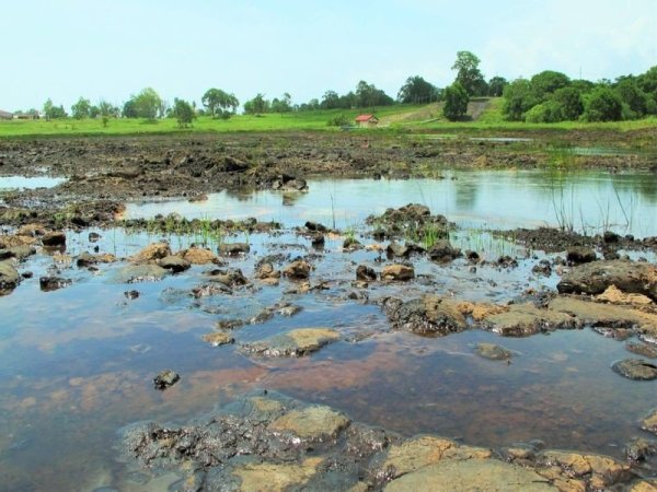 Остров Тринидад озеро асфальт