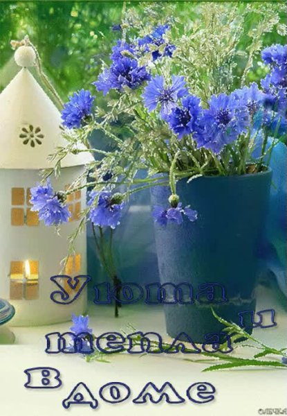 Доброе утро васильки и колокольчики