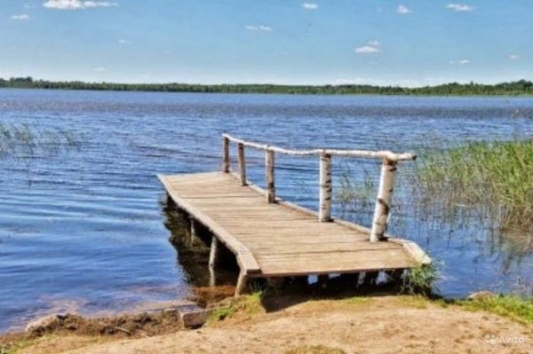 Перхино Кирилловский район