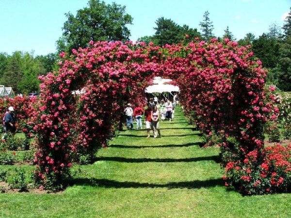 Канада парки розарии