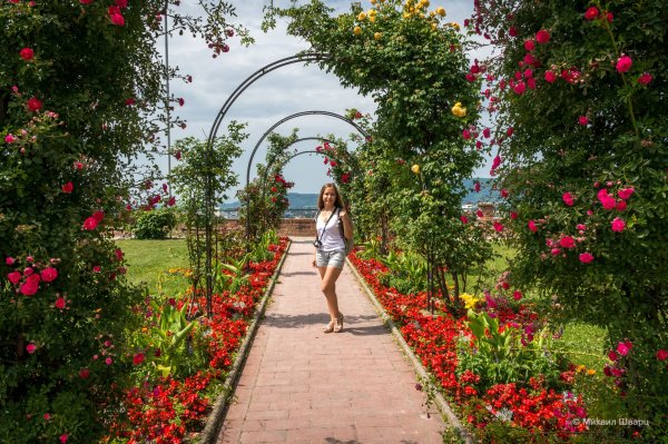 Аллея роз Дрезден