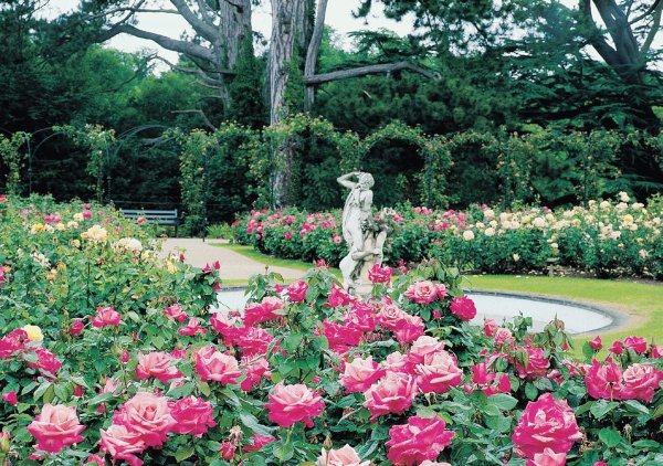 Розарий Рептона