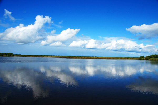 Фон озера Обь