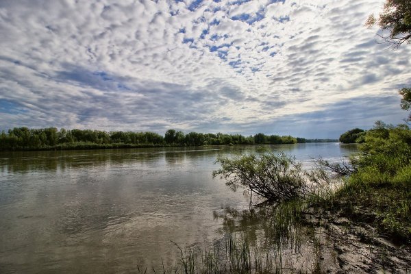 Исток реки Карасук