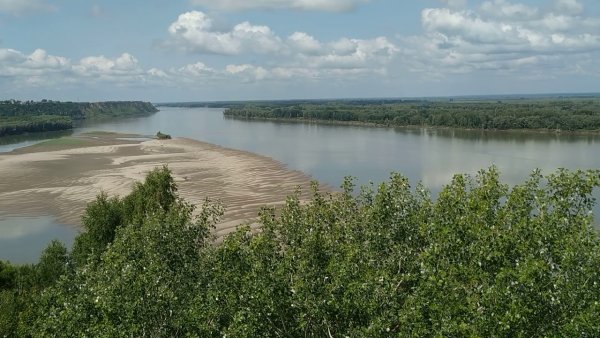 Река Обь в Шелаболихе
