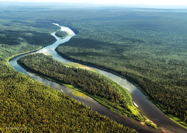 Коми река Илыч