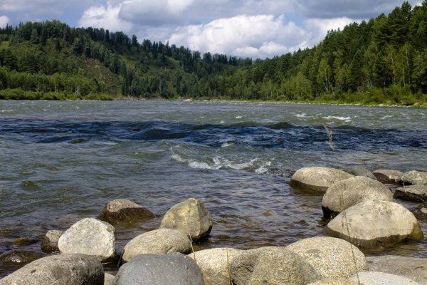 Горный Алтай Бия