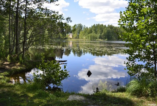 Государственный природный заказник «озеро Щучье»