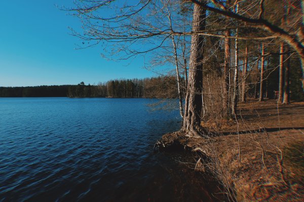 Озеро Щучье Зеленогорск