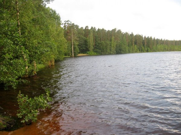 Щучье озеро Комарово