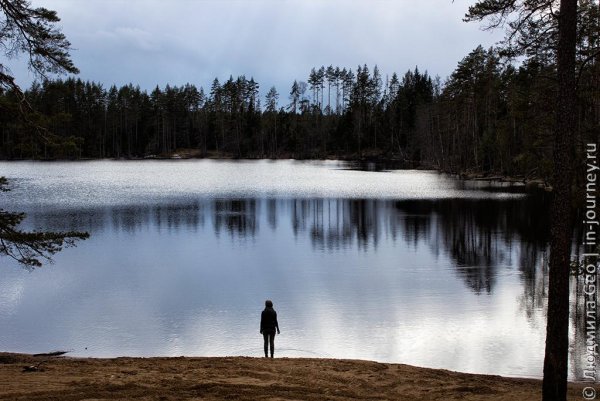 Щучье озеро в Ленинградской