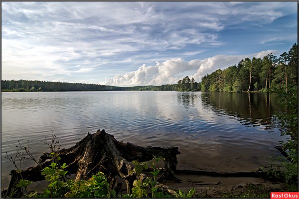 Щучье озеро Комарово