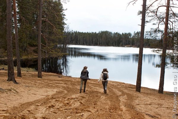 Щучье озеро Комарово