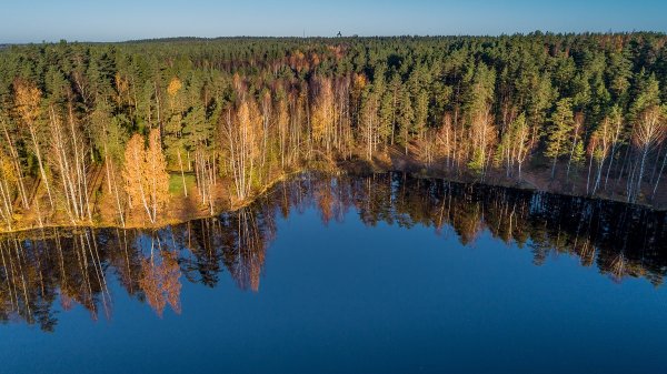 Заказник озеро Щучье