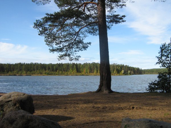 Озеро Щучье Зеленогорск