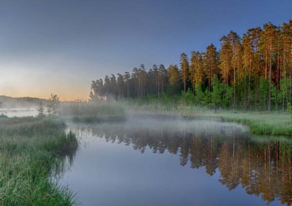 Государственный природный заказник «озеро Щучье»