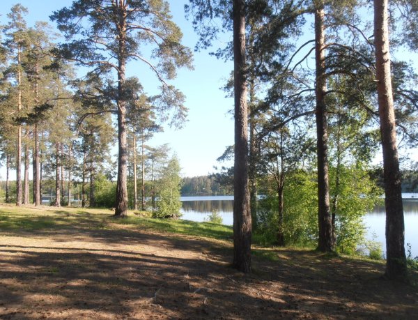 Щучье озеро Комарово