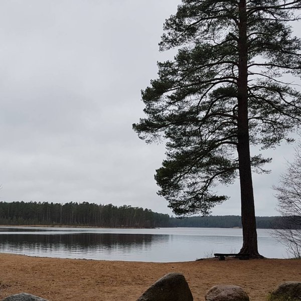 Озеро Щучье Зеленогорск