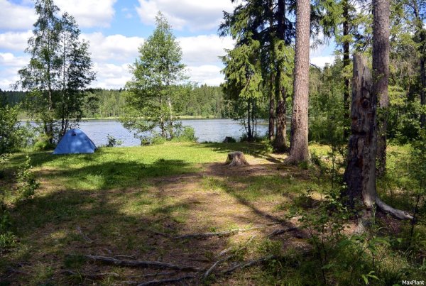 Щучье озеро Комарово