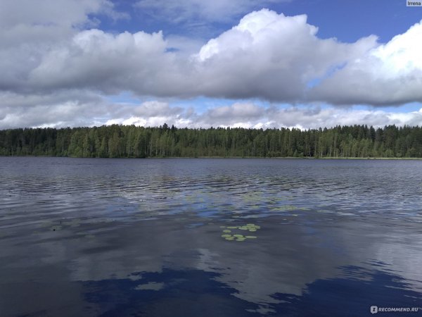 Заказник Щучье озеро Комарово