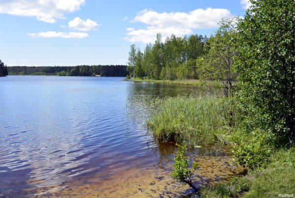 Озеро Щучье Свердловская область