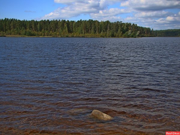 Щучье озеро Санкт-Петербург